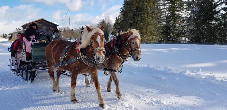 Winterliche Kutschenfahrt in Ebbs