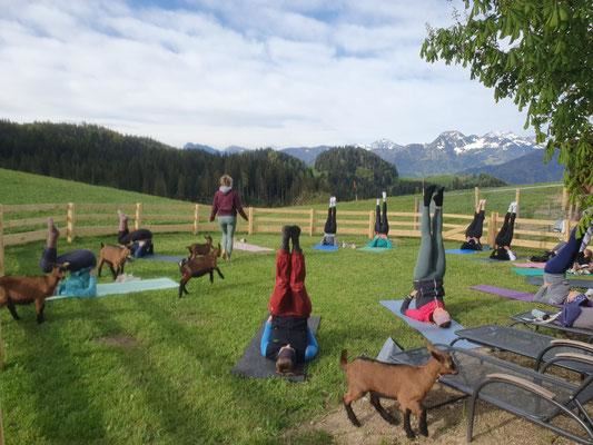 Kitzyoga Moosbauer