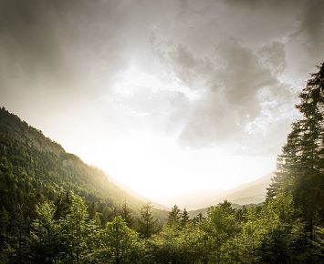 Escursioni natura Kaisergebire (c) Kufsteinerland